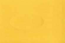 2007 Hyundai Sunburst Yellow